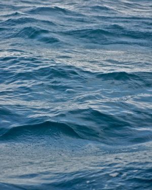 ws water - 20.jpg